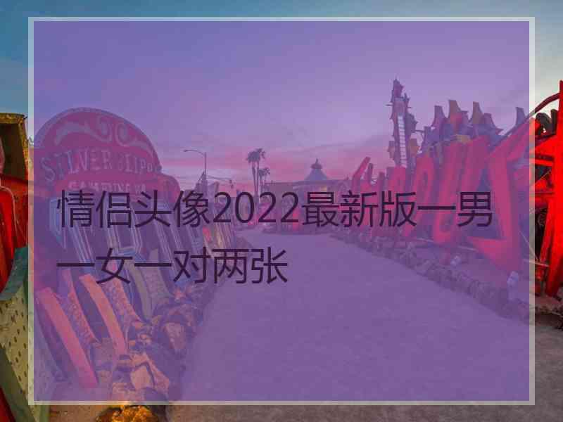 情侣头像2022最新版一男一女一对两张