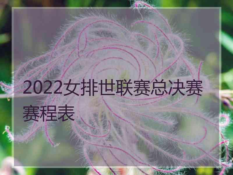 2022女排世联赛总决赛赛程表