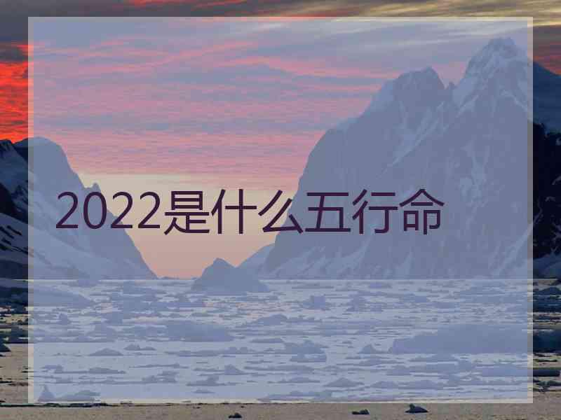 2022是什么五行命