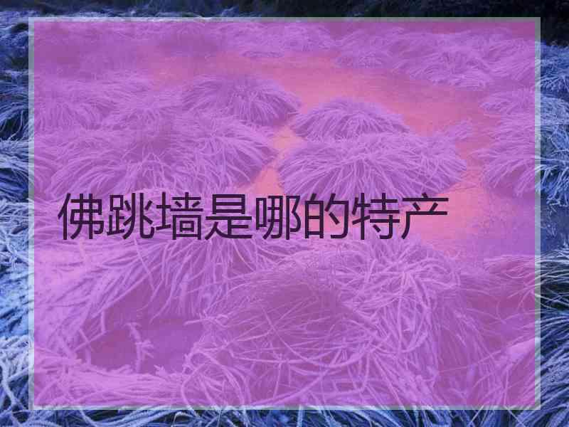 佛跳墙是哪的特产