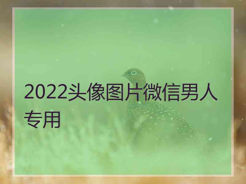 2022头像图片微信男人专用