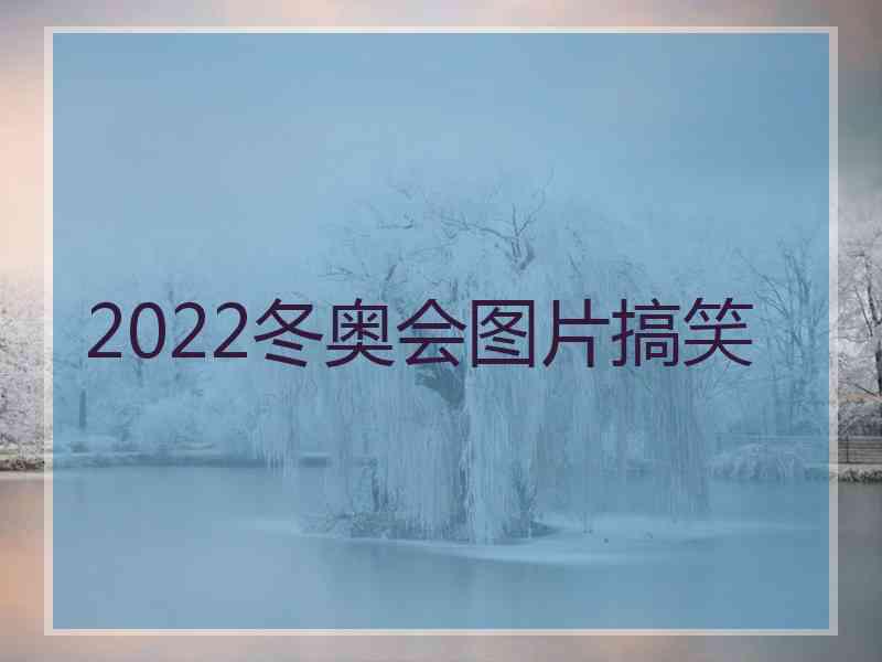 2022冬奥会图片搞笑