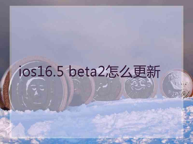 ios16.5 beta2怎么更新