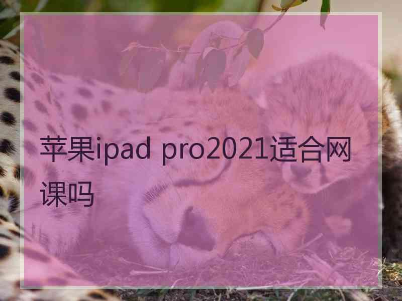 苹果ipad pro2021适合网课吗