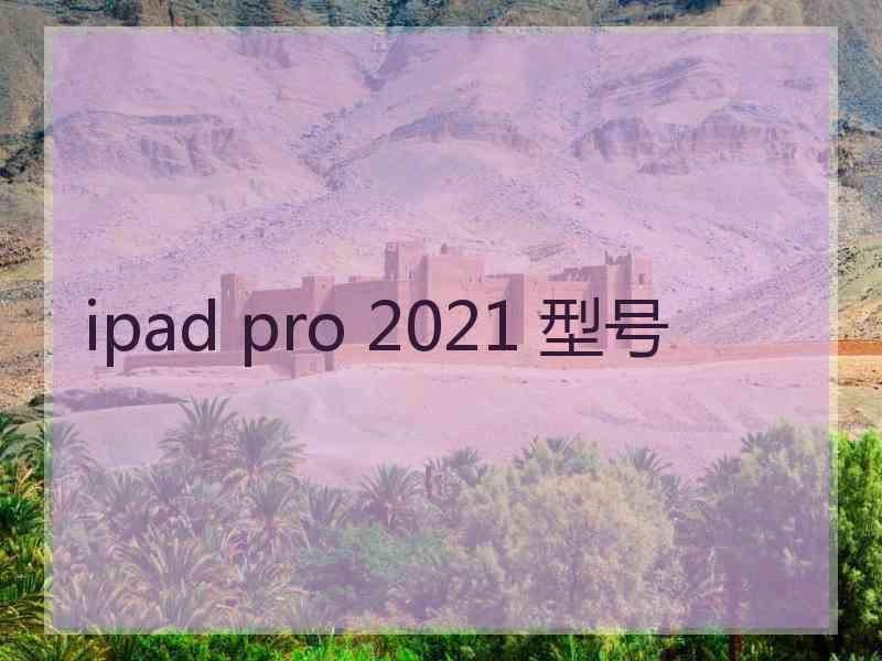 ipad pro 2021 型号