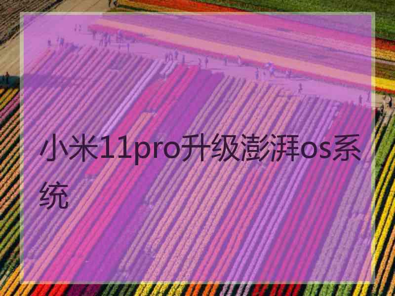 小米11pro升级澎湃os系统