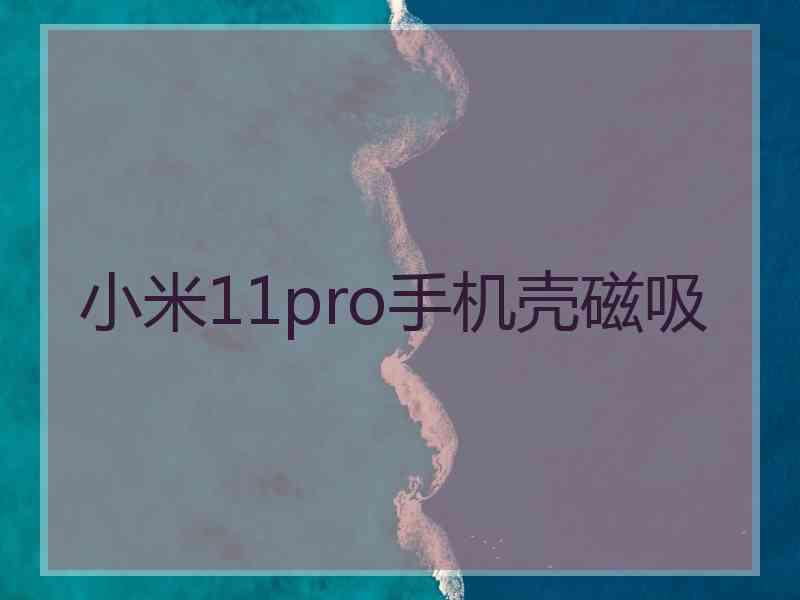 小米11pro手机壳磁吸