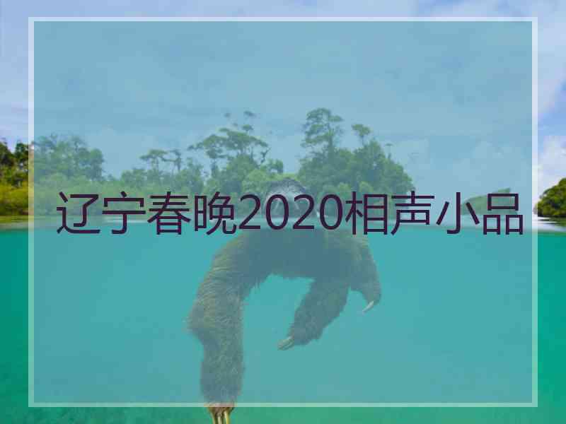 辽宁春晚2020相声小品