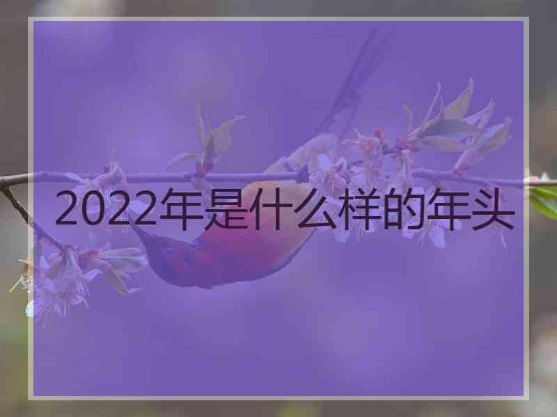 2022年是什么样的年头