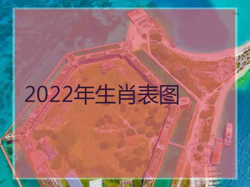 2022年生肖表图