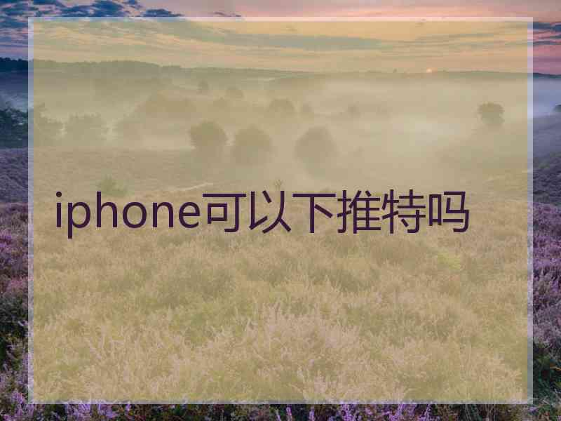 iphone可以下推特吗