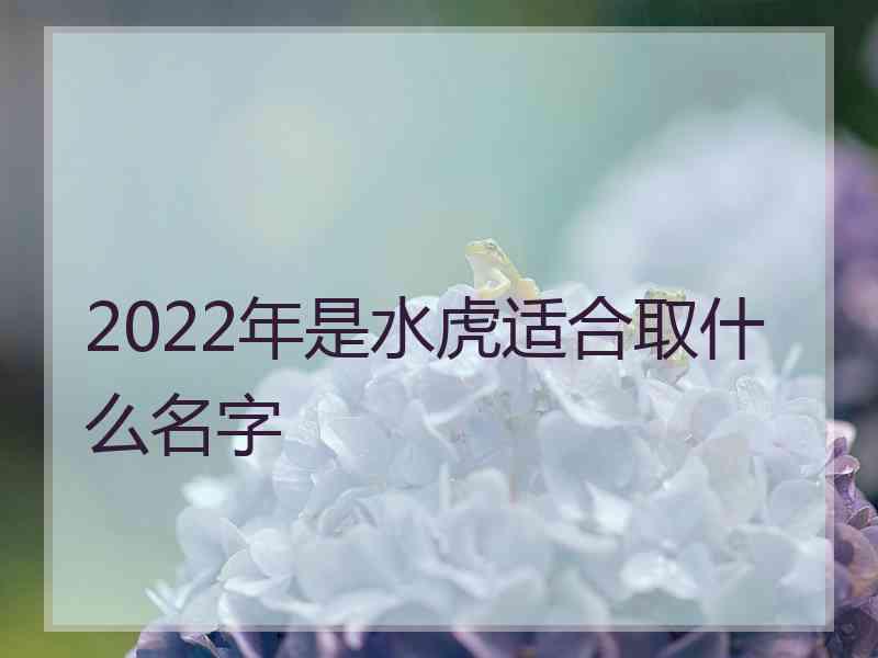 2022年是水虎适合取什么名字