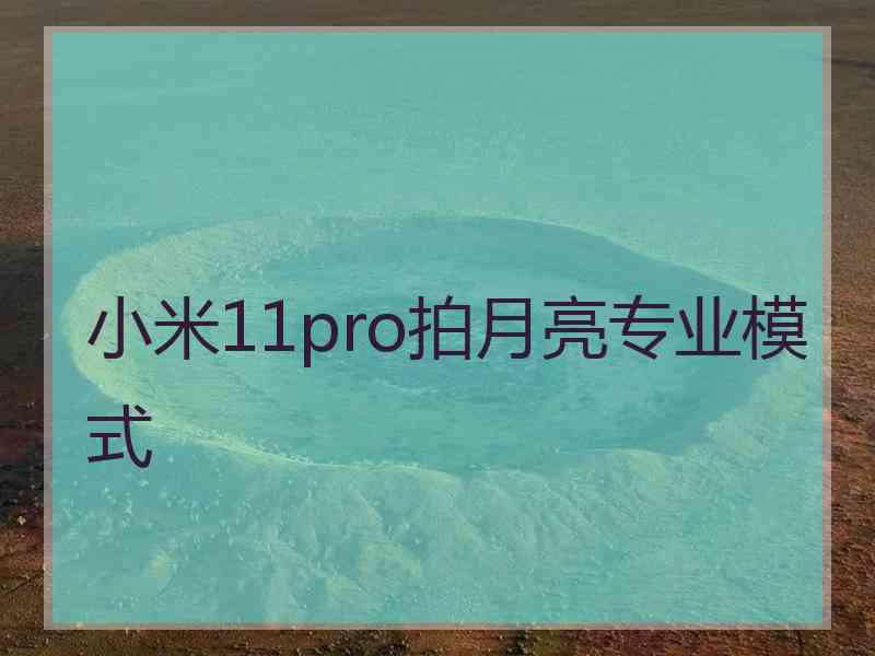 小米11pro拍月亮专业模式