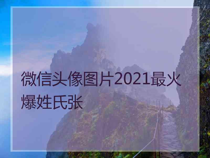 微信头像图片2021最火爆姓氏张