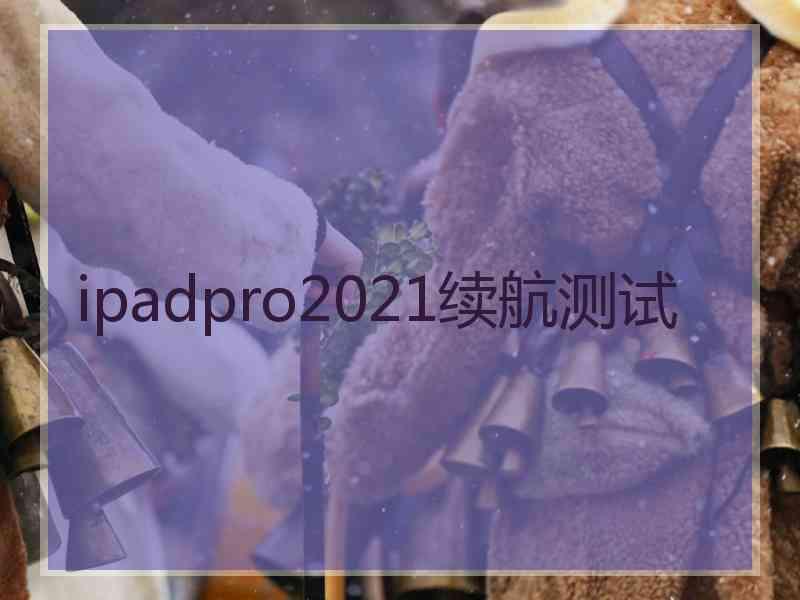 ipadpro2021续航测试