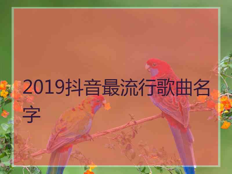 2019抖音最流行歌曲名字