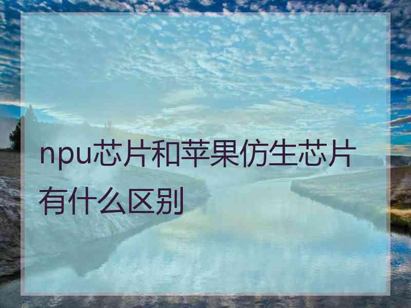 npu芯片和苹果仿生芯片有什么区别