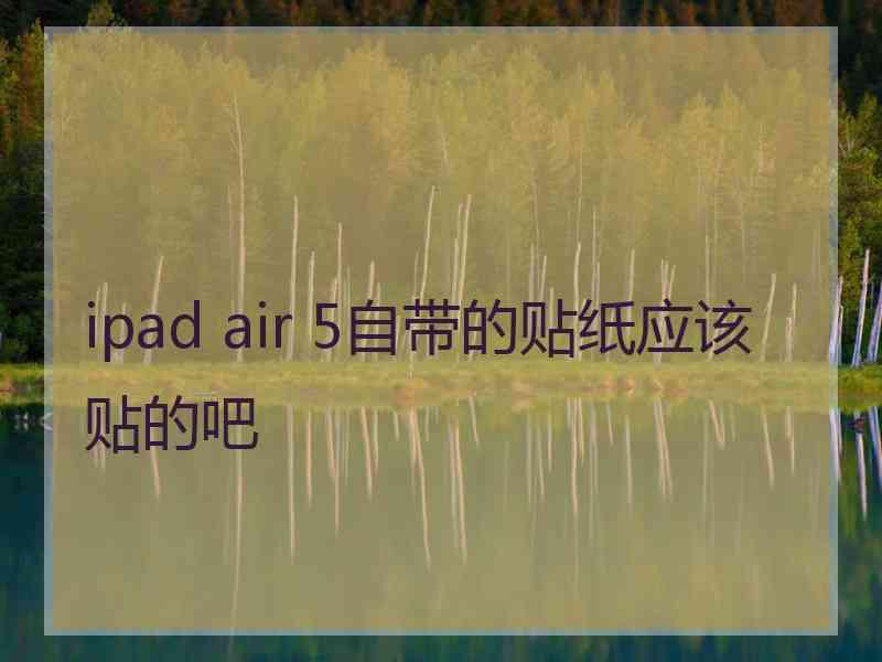 ipad air 5自带的贴纸应该贴的吧