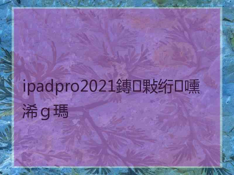 ipadpro2021鏄敤绗嚑浠ｇ瑪