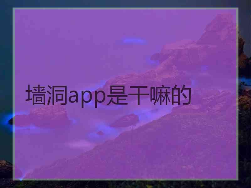 墙洞app是干嘛的