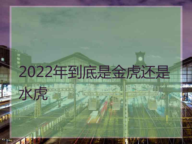 2022年到底是金虎还是水虎