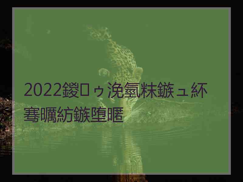 2022鍐ゥ浼氫粖鏃ュ紑骞曞紡鏃堕暱