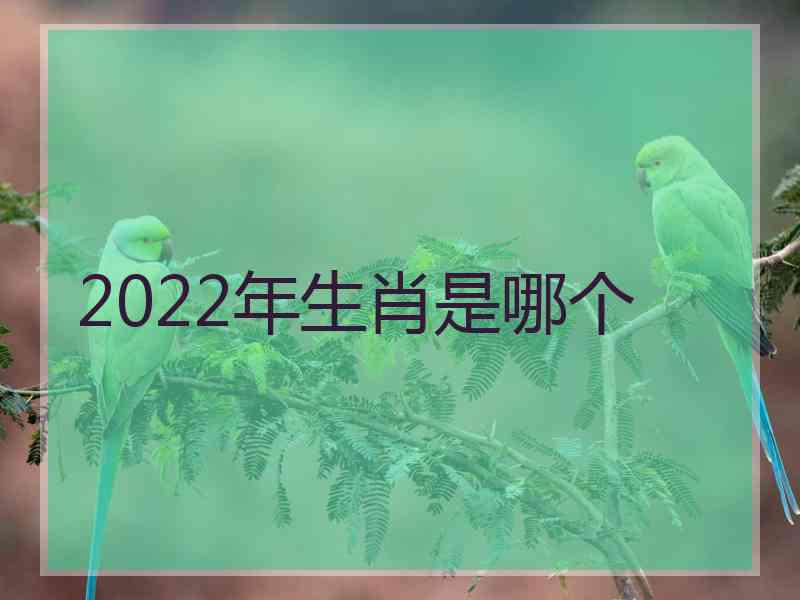 2022年生肖是哪个