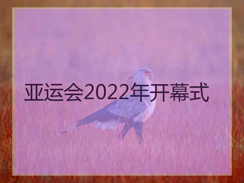 亚运会2022年开幕式