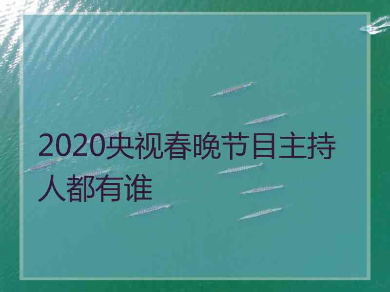 2020央视春晚节目主持人都有谁