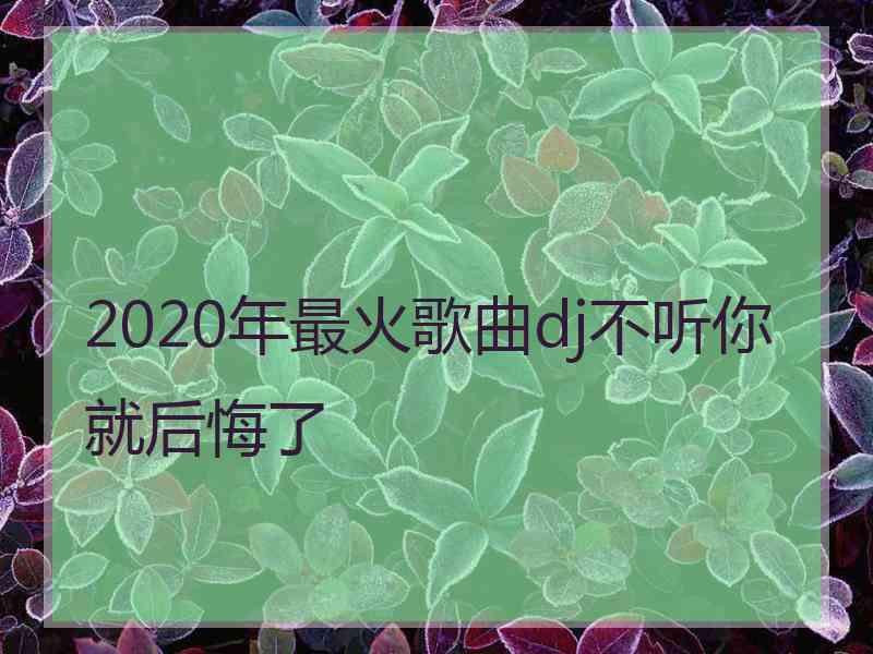 2020年最火歌曲dj不听你就后悔了