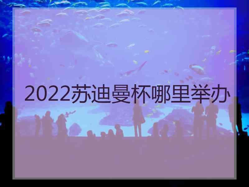 2022苏迪曼杯哪里举办