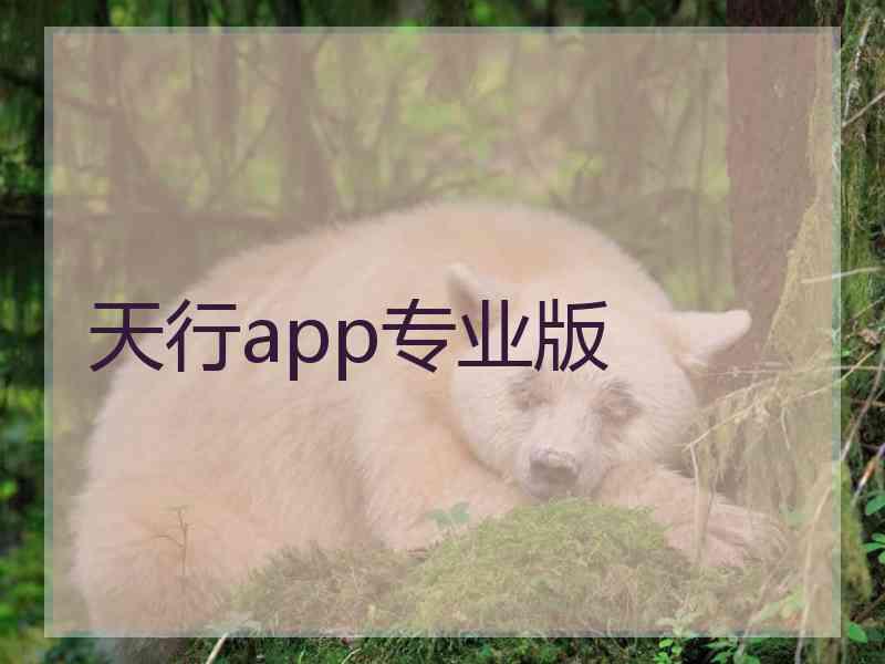 天行app专业版