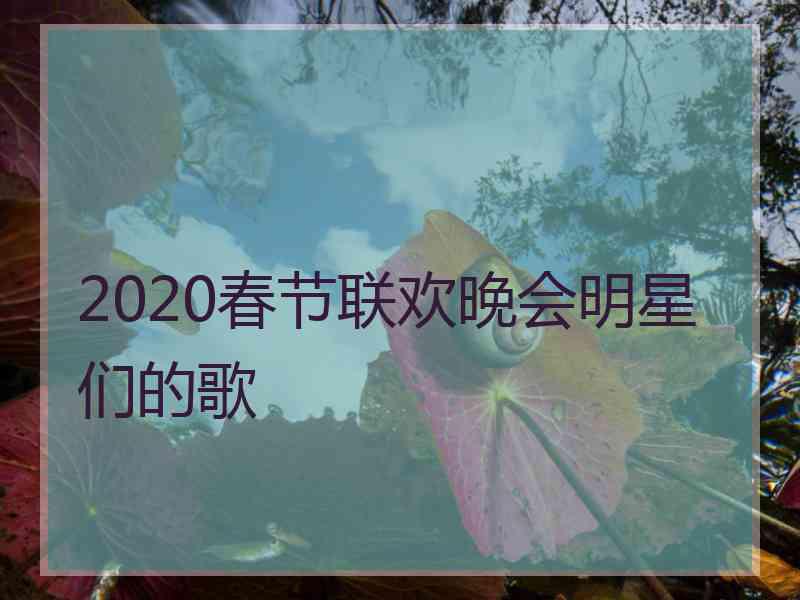 2020春节联欢晚会明星们的歌