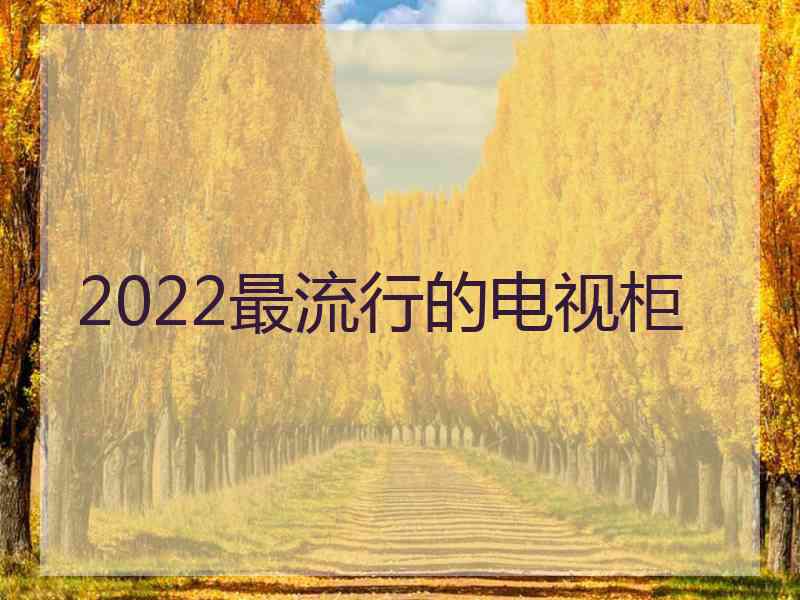 2022最流行的电视柜