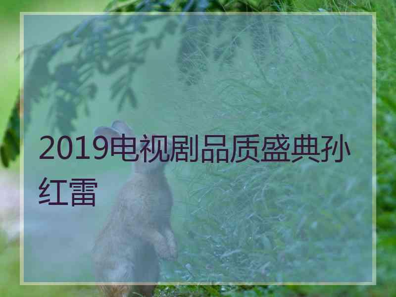 2019电视剧品质盛典孙红雷