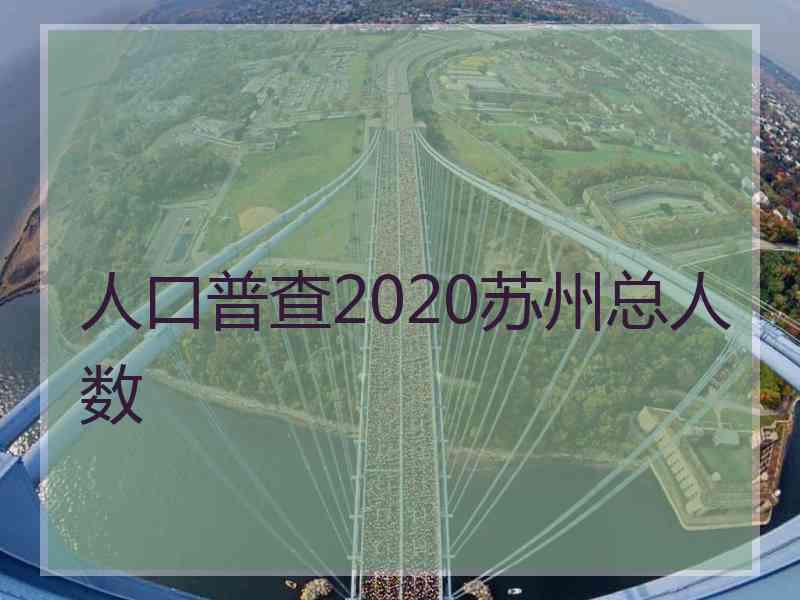 人口普查2020苏州总人数