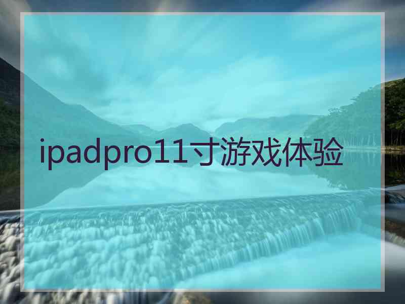 ipadpro11寸游戏体验