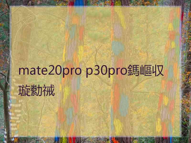 mate20pro p30pro鎷嶇収璇勬祴