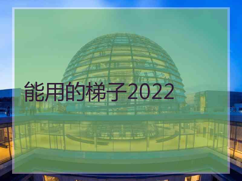 能用的梯子2022