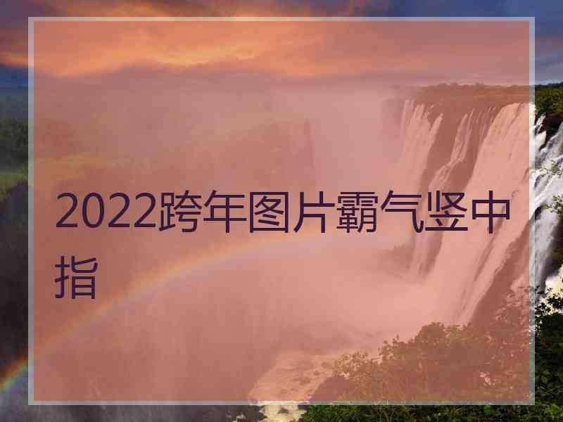 2022跨年图片霸气竖中指