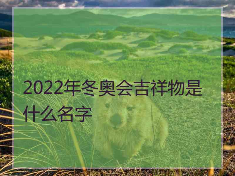 2022年冬奥会吉祥物是什么名字