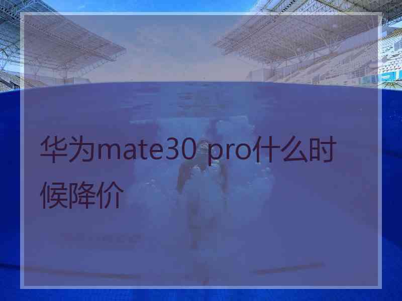 华为mate30 pro什么时候降价