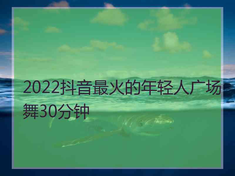 2022抖音最火的年轻人广场舞30分钟