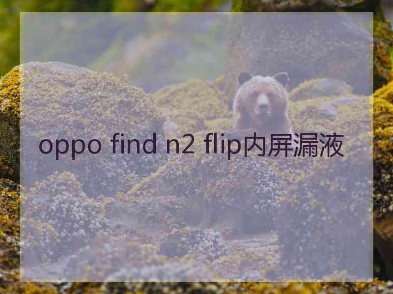 oppo find n2 flip内屏漏液