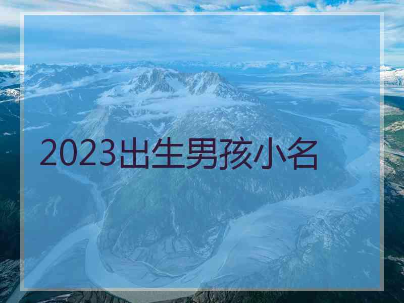 2023出生男孩小名