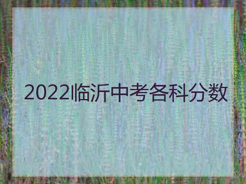 2022临沂中考各科分数