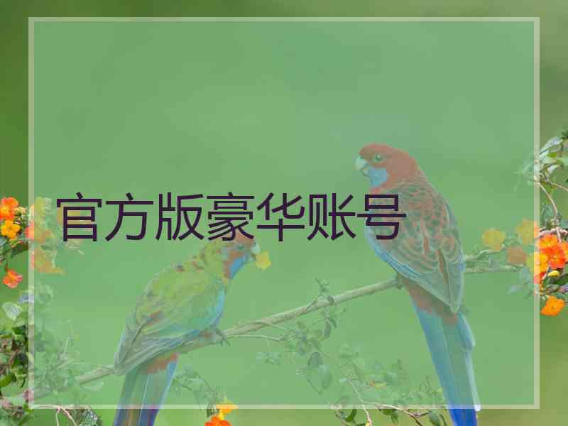 官方版豪华账号