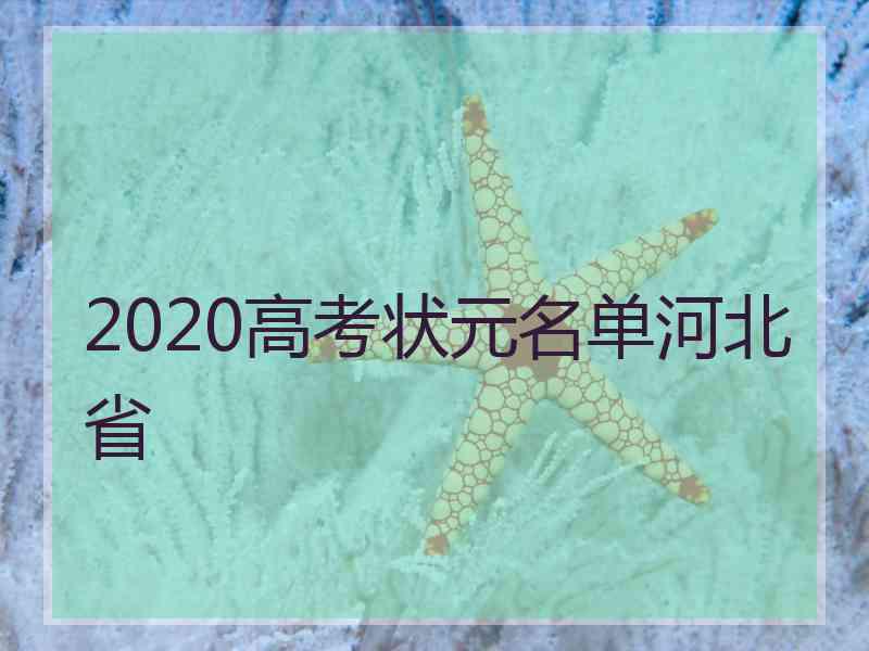 2020高考状元名单河北省