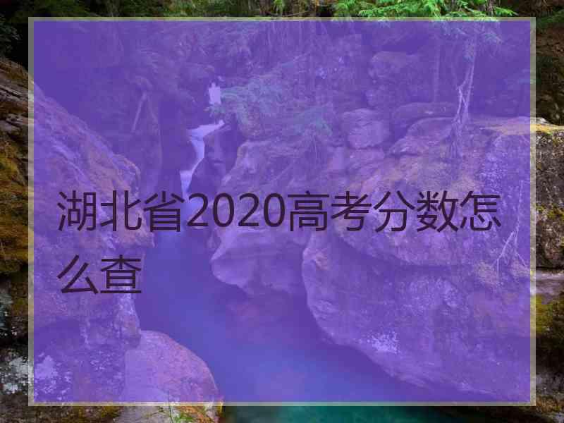 湖北省2020高考分数怎么查