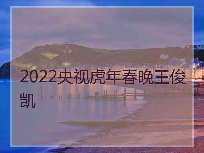 2022央视虎年春晚王俊凯